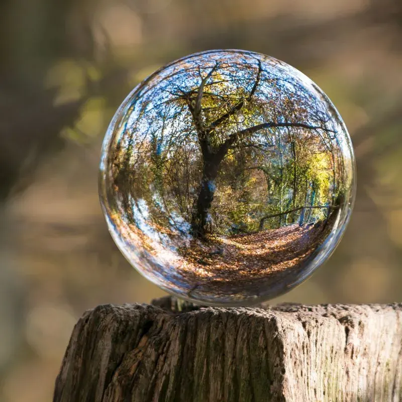 Glaskula som speglar skogen